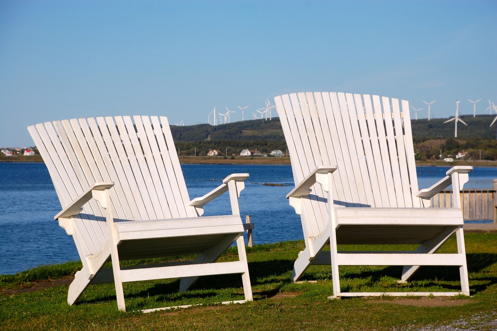 Capucins lové dans sa baie Graffici Graffici